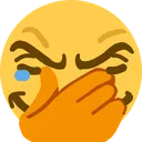 :smug_crying_facepalm: