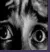 :fear: