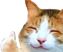 :Cat_ThumbsUp:
